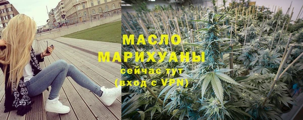 крисы Кулебаки