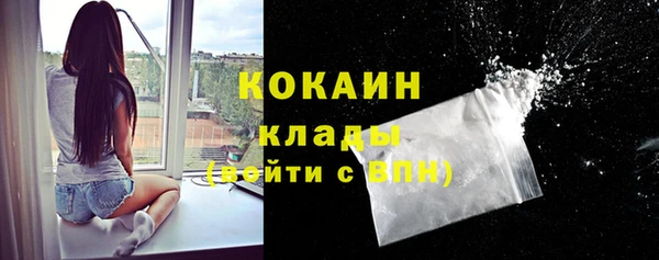 крисы Кулебаки