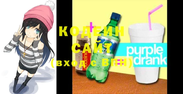 крисы Кулебаки
