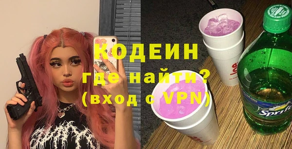 крисы Кулебаки