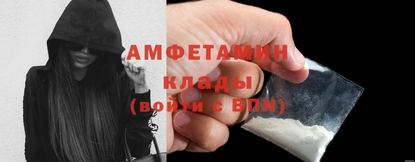 ГАЛЛЮЦИНОГЕННЫЕ ГРИБЫ Кукмор