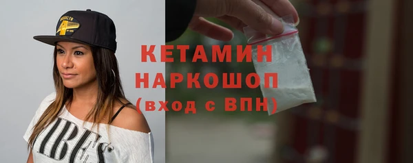 крисы Кулебаки