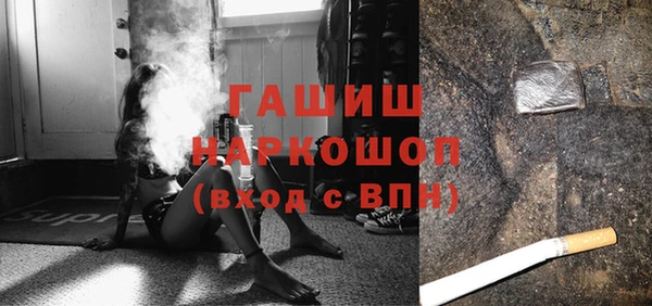 крисы Кулебаки