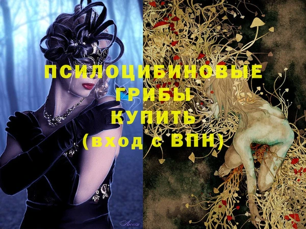 крисы Кулебаки