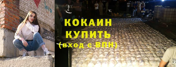 ГАЛЛЮЦИНОГЕННЫЕ ГРИБЫ Кукмор