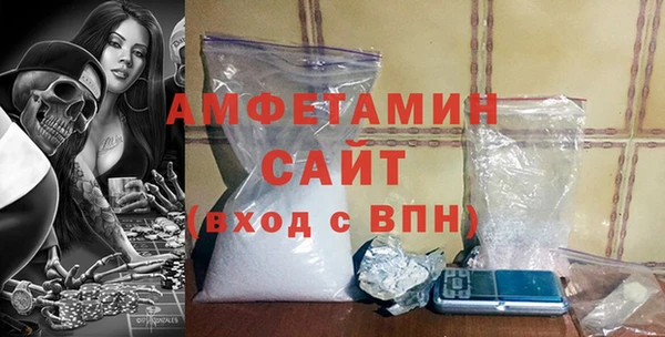 крисы Кулебаки