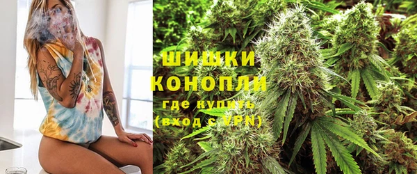 ГАЛЛЮЦИНОГЕННЫЕ ГРИБЫ Кукмор