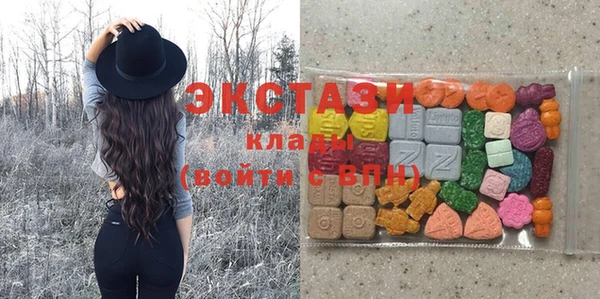крисы Кулебаки